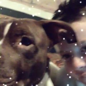 Meet your Posher, Tanner